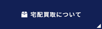 beginner-delivery-btn03